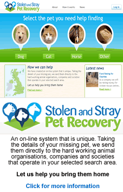 Stolen & Stray Pet Recovery